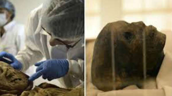 ஆய்வாளர்கள் மிரண்டனர்: 