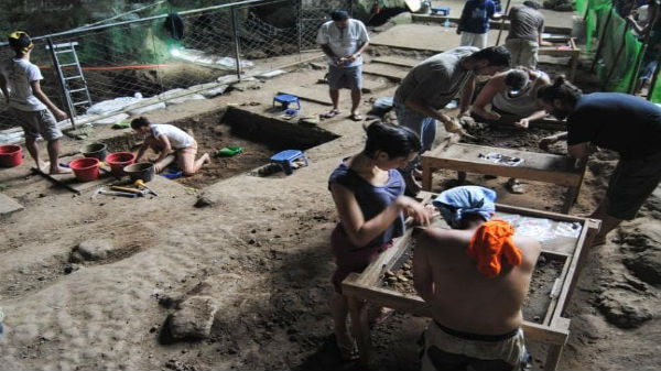  மூன்று புதை படிவ படிமங்கள் 