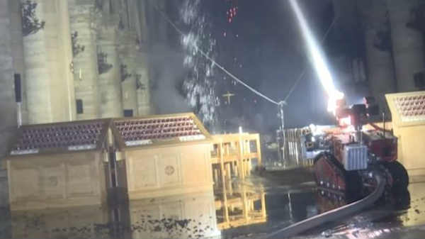  2.5 அடி உயரம் 