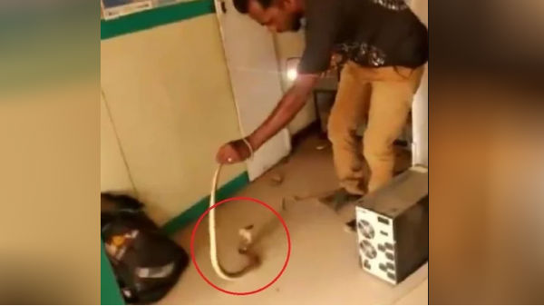 பாம்பைக் கண்டு ஓட்டம் பிடித்த மக்கள் 