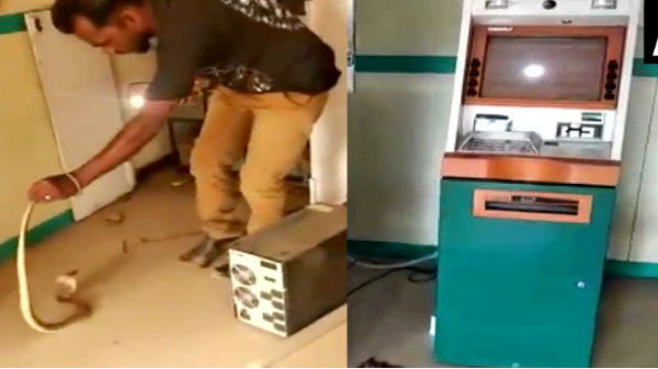 பிடிபட்ட பாம்பு 