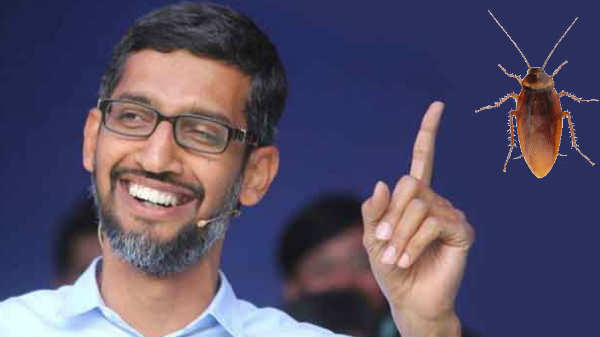 கரப்பான் பூச்சி கதை: