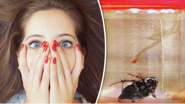 பெண் மீது ஏறிய கரப்பான் பூச்சி: 