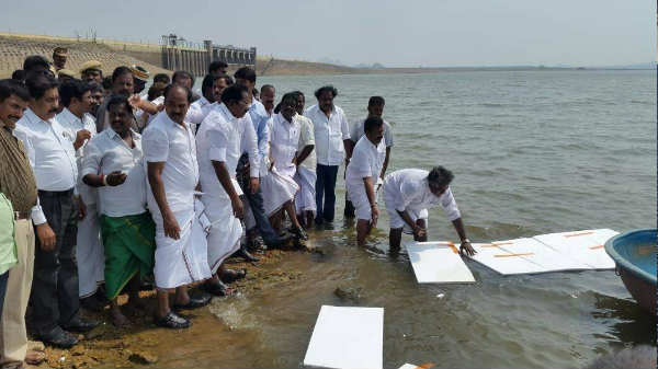 300 தெர்மாகோல்கள்: 