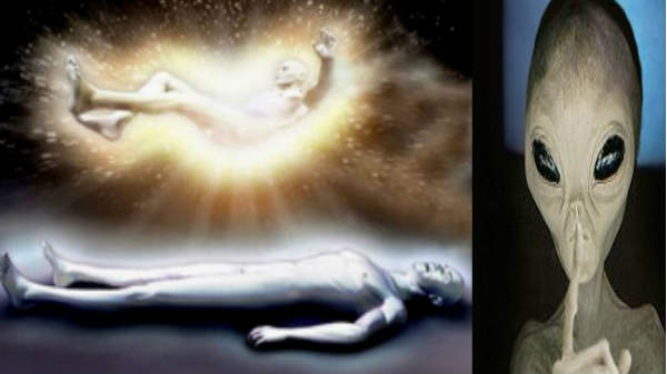 மனித உடலை கைப்பற்றும் ஏலியன்கள்: 