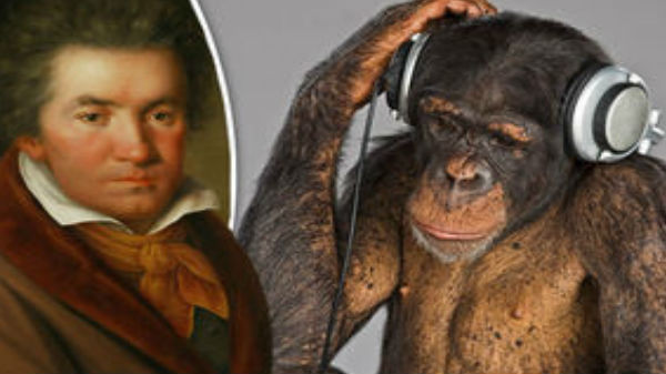 #24 மனிதக் குரங்குக்கு பாட்டு கேக்காதா: