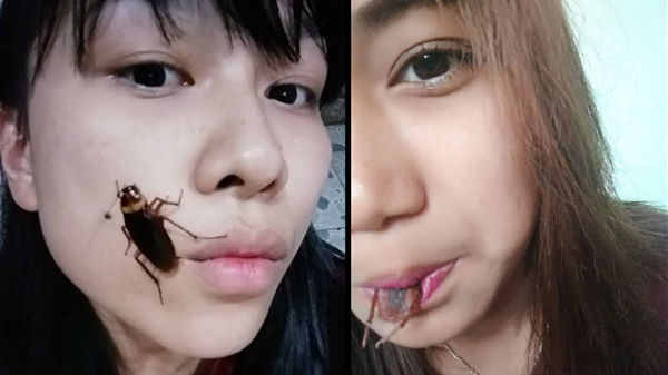 துணிச்சலுக்கு அளவே இல்லை