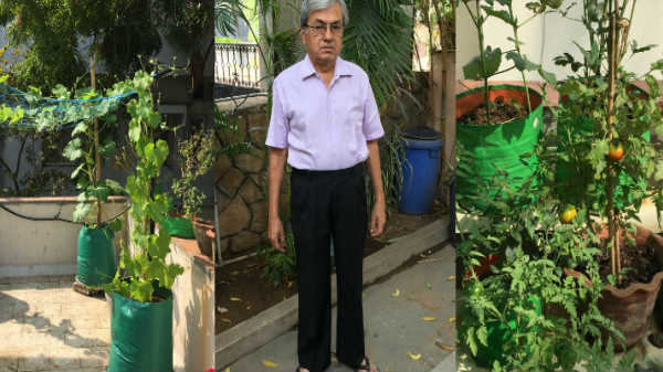 பள்ளி புத்தகத்தில் படித்தது என்ன?