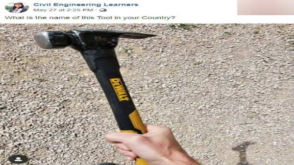 புதிய விதை:  