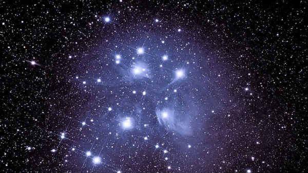 ஒவ்வொன்றும் ஒரு வகை! ஆனால் இதுவோ?