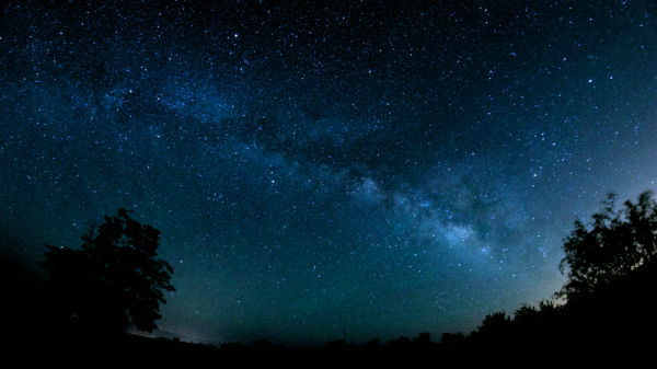 மற்றவைகளுடன் வேறுபட என்ன காரணம்?