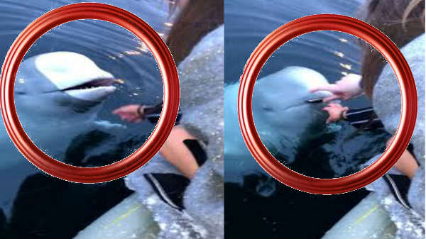 செல்போன் மீட்டது: 