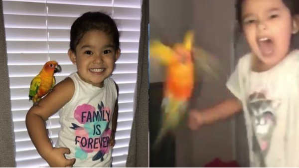 ஆக்டோபசை  சாப்பிட முயன்ற பெண்ணிற்கு ஏற்பட்ட கதி: நீங்களே பாருங்கள்.!