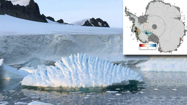 பனிப்பொழிவு