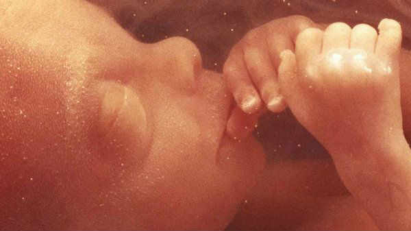  புரட்சிகரமானதாக இருக்கும்