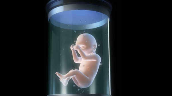  செயற்கை கருப்பை