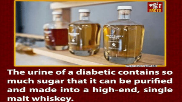 #6 நீரழிவு விஸ்கி: