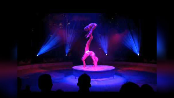  ரான்கேலி சர்க்கஸ்