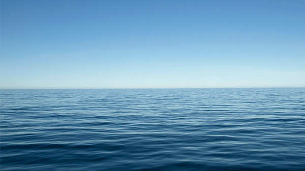 குப்பைகளால் நிரம்பியுள்ளன