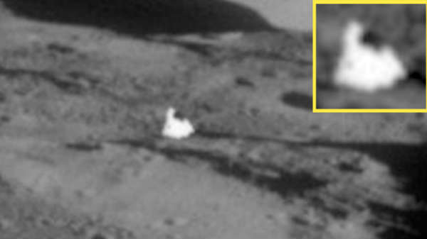 மனித குலம் வாழ்கையை துவங்கும் முன்பே : 