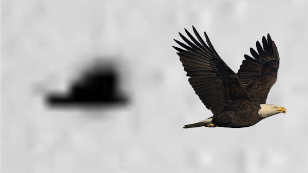 செவ்வாயில் நிச்சயம் உயிர்கள் இருக்கிறது