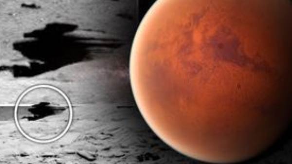 வேற்றுகிரக உயிரினம்:  