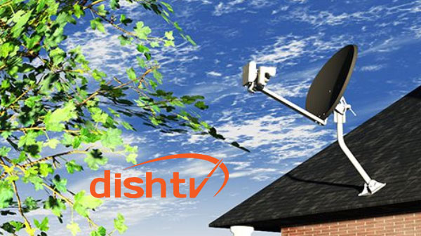 விலை குறைவானதா? 