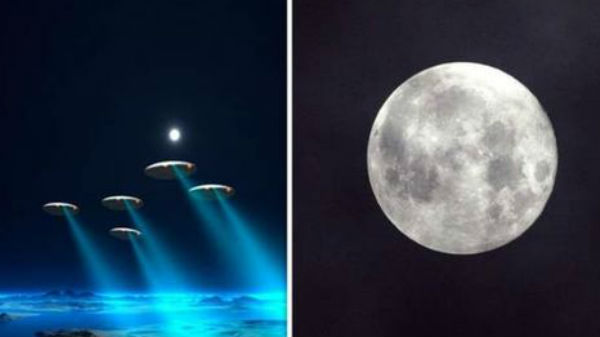 பையன் அந்த பட்தை தாக்கியுள்ளார்:  