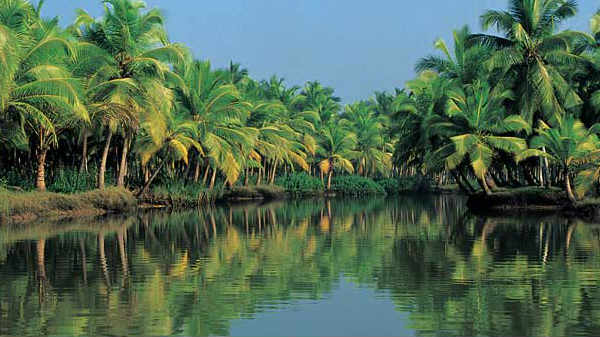 இந்த மாதம் அறிமுகப்படுத்தப்படும் 