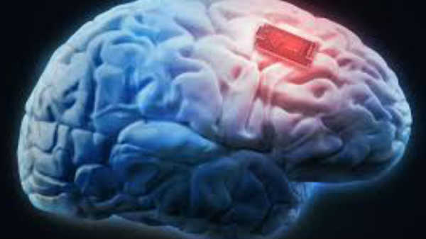 செயற்கை நுண்ணறிவுடன் கூட்டுவாழ்வு