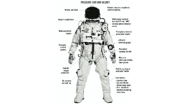 15 வினாடிகளுக்குள் மரணம்
