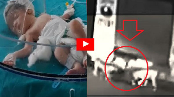 சிசிடிவி கேமராவில் பதிவு