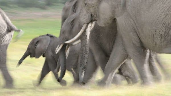  கடந்த மாதம்தான் நீக்கினார்