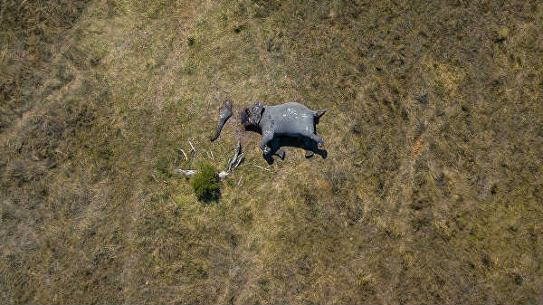 கண்களில் கண்ணீர் நிறைகிறது
