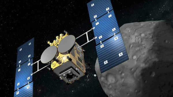 பழங்கால பாறை மாதிரிகள்