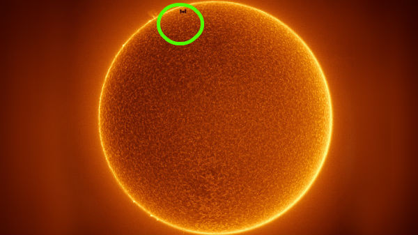 புகைப்படக் கலைஞர் ரெய்னி கோலாகுர்சியோ