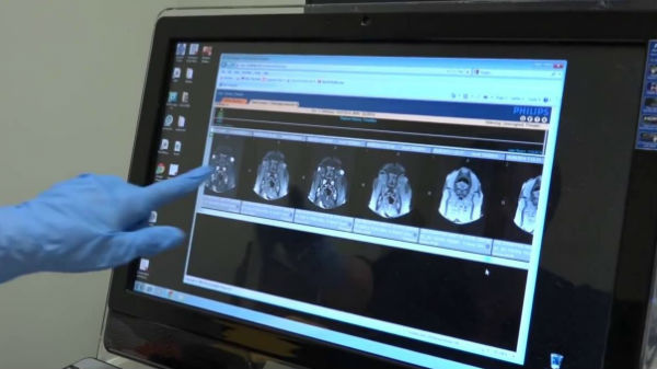 எதிர்கால ஆராய்ச்சிக்கு ஒரு மைல்கல்