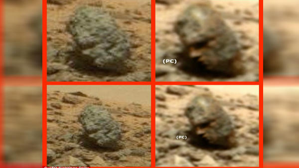 ஏலியன் வாழ்கை முறை: