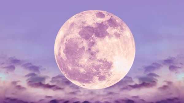 வடையை திங்க வேண்டும் : 