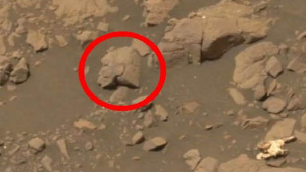 ஏலியன் சிலை சுவாரஸ்சியம்: