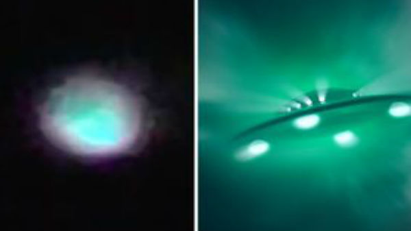 பாம்பு வட்டு குறியீடுகள்:  