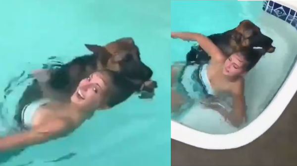  1.3 மில்லியன் மக்கள் பார்த்த வைரல் வீடியோ