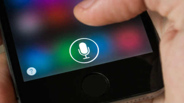 ஐரிஸ் எக்ஸாமினர்