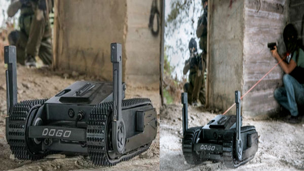 2. டோகோ (DOGO)