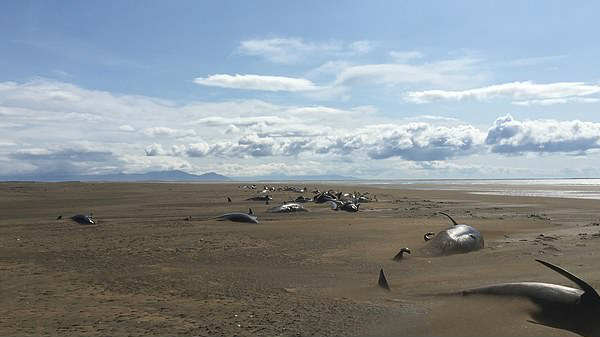 புதைந்திருக்க வாய்ப்புள்ளது