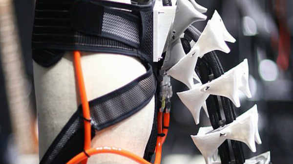  பூனையின் சுறுசுறுப்பை வழங்கும்