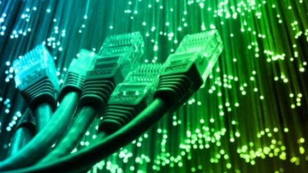 இரண்டு நரங்களின் ஒப்பீடு :  