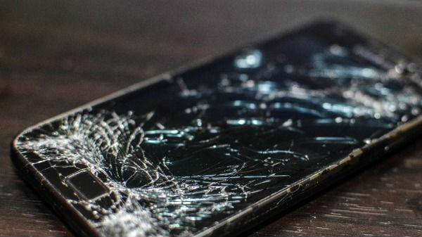  விசித்திரமான பாக்டீரியா