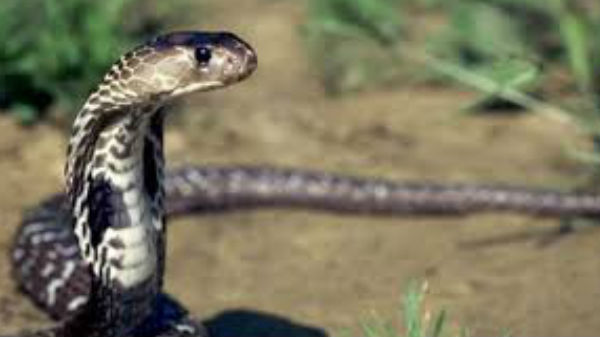 பார்சல் எங்கிருந்து வந்தது? 