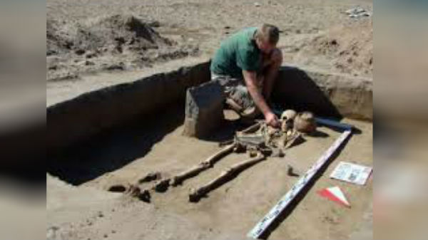 நெசவாளரின் எலும்புக்கூடு